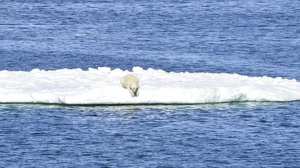 Rusya meteoroloji kayıtlarına yansıyan en sıcak yılını yaşadı Rusya meteoroloji kayıtlarına yansıyan en sıcak yılını yaşadı