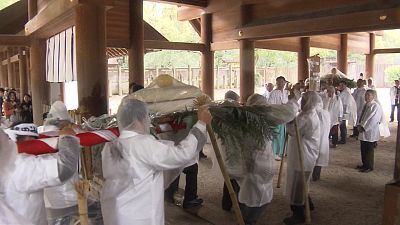 Giant rice cakes offered to shrine in Japanese tradition
