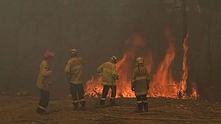 Un grupo de bomberos sofoca las llamas en Melbourne, Australia