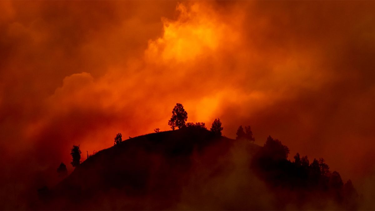 A violência extrema dos incêndios florestais é a “nova normalidade”?