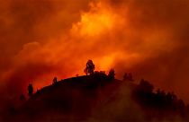 Ανεξέλεγκτες πυρκαγιές: Η νέα κανονικότητα;