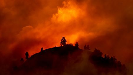 Will extreme wildfires become the norm of tomorrow?