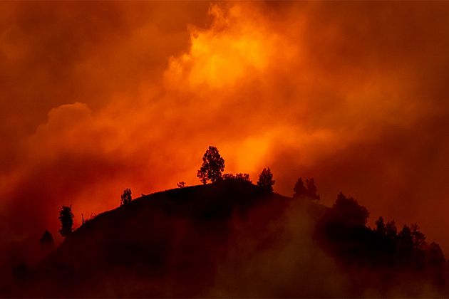 Des feux de forêt de plus en plus étendus et répandus demain ?