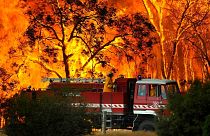   گسترش آتش سوزی در جنوب شرق استرالیا؛ هزاران نفر به ساحل پناه بردند