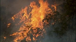 In this image made from video, an aerial scene shows fires burning in Bundoora, Victoria state, Monday, Dec. 30, 2019.