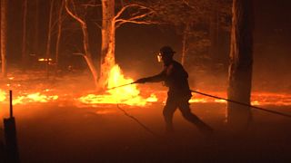 Unprecedented wildfires continue to rage in Australia