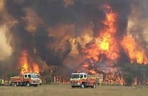 Inferno in Australien - Tausende auf der Flucht vor dem Feuer