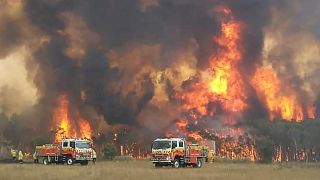 Inferno in Australien - Tausende auf der Flucht vor dem Feuer