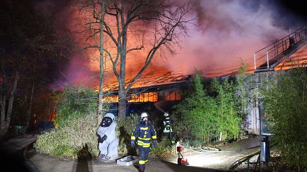 Zoo Krefeld: Mögliche Brandverursacher stellen sich Zoo Krefeld: Mögliche Brandverursacher stellen sich
