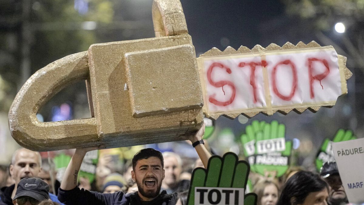 Protesta contra la tala ilegal en Rumanía (Bucarest, 3/11/2019)