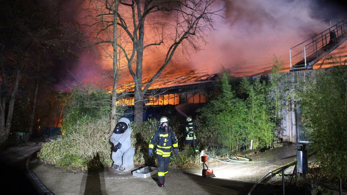 Incêndio no Zoo de Krefeld mata mais de trinta animais
