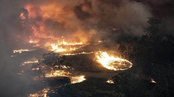 Las trágicas cifras e imágenes de los incendios forestales en Australia Las trágicas cifras e imágenes de los incendios forestales en Australia