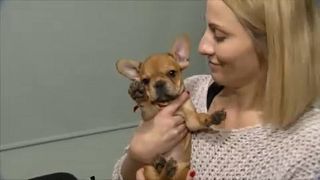 Kutyakölyök költözött a gyermek-hospice-házba
