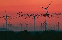 Germania: un bonus per i "cittadini del vento"