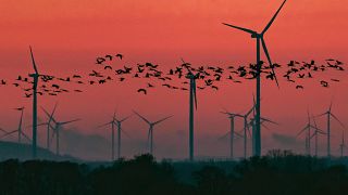 Alemania busca hacer atractiva la energía eólica ofreciendo subsidios