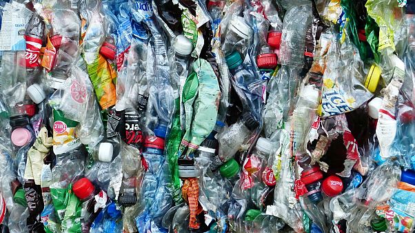 No time to waste? Moscow begins recycling its rubbish No time to waste? Moscow begins recycling its rubbish