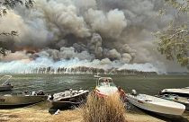 Australia, la costa invasa dalle fiamme: turisti in fuga