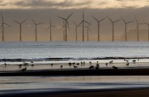 An offshore wind farm is visible from the beach in Hartlepool, England, Tuesday, Nov. 12, 2019.