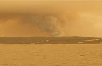 Nell'inferno d'Australia che conta ormai decine di morti 