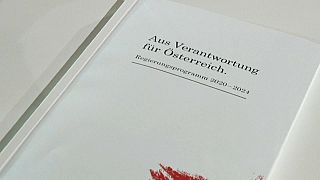 Il contratto di governo verde-turchese che fa discutere in Austria