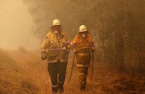 Des pompiers près de Moruya en Australie