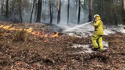 Ausztrál erdőtüzek: tartalékosokat mozgósítottak