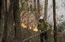 2.000 millones más de fondos para superar la crisis de los incendios en Australia