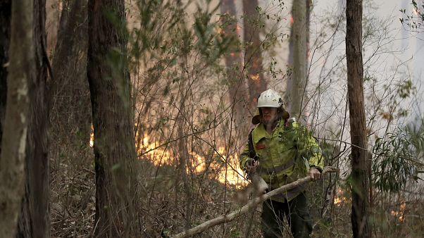 2.000 millones más de fondos para superar la crisis de los incendios en Australia 2.000 millones más de fondos para superar la crisis de los incendios en Australia