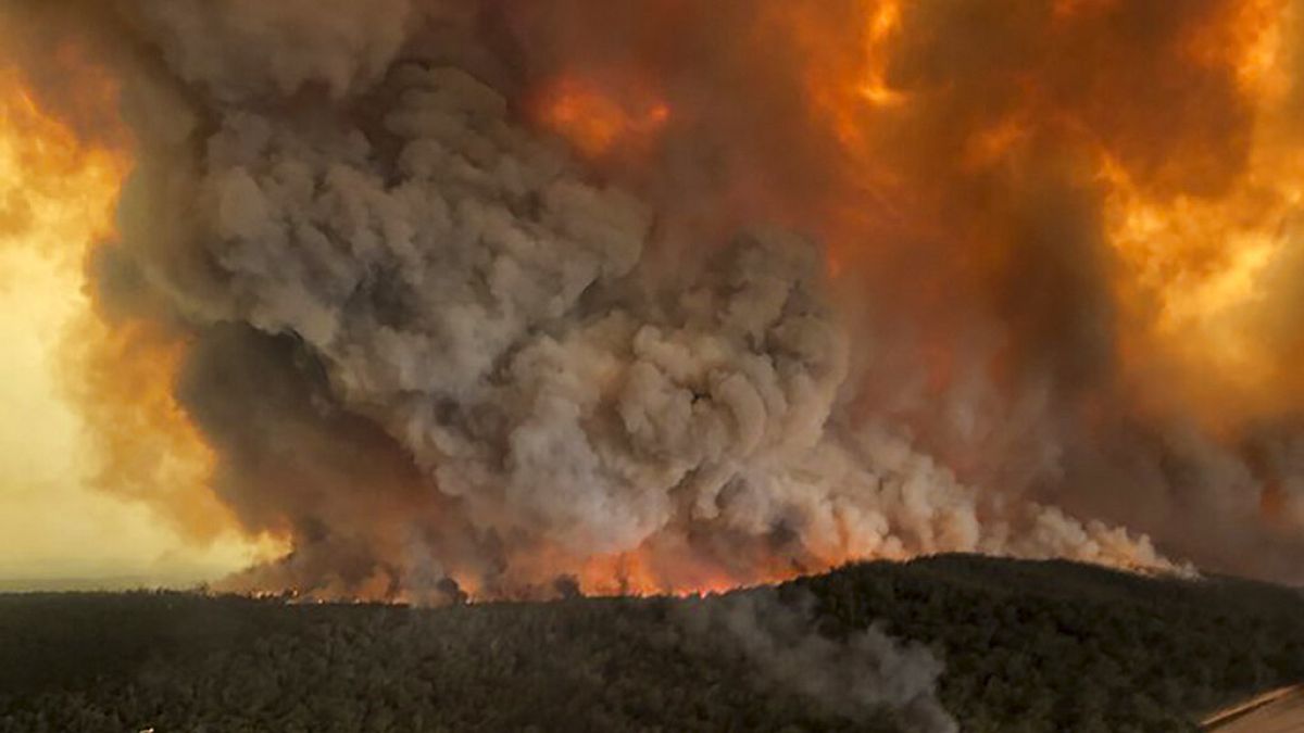 Szörnyű felvételek az ausztrál tűzben elpusztult többezernyi állatról