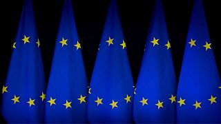 سخنگوی اتحادیه اروپا به یورونیوز: اتحادیه تصمیم‌گیرنده برجام نیست، هماهنگ‌کننده است
