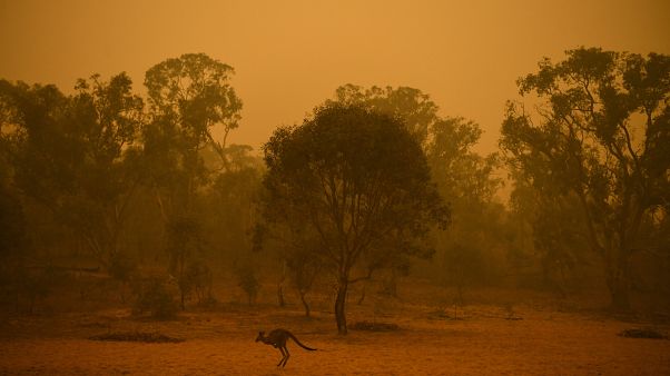 Après un nouveau week-end de cauchemar, l'Australie brûlée à vif Après un nouveau week-end de cauchemar, l'Australie brûlée à vif