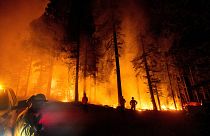 Kaliforniya'da çıkan orman yangınları aylardır devam ediyor