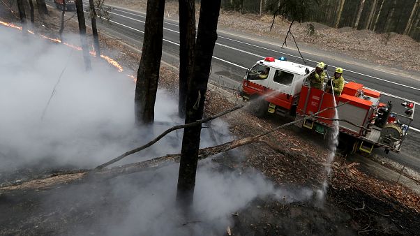 Morrisons düstere Prognose: Buschfeuer werden "noch Monate brennen" Morrisons düstere Prognose: Buschfeuer werden "noch Monate brennen"