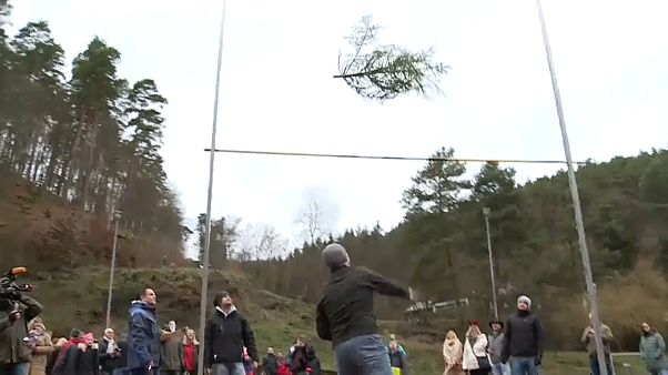 Wer wirft den Weihnachtsbaum am weitesten? - Knut-WM in der Pfalz Wer wirft den Weihnachtsbaum am weitesten? - Knut-WM in der Pfalz