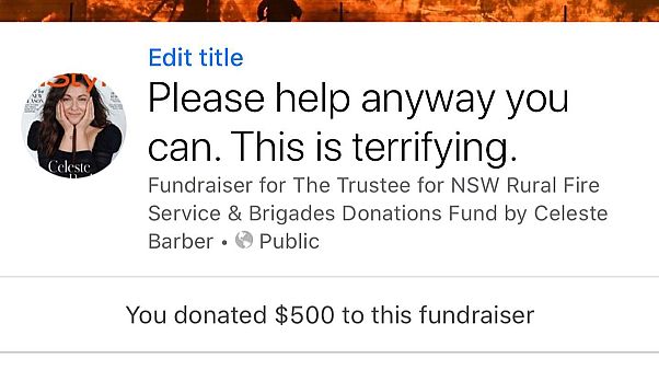 Celeste Barber rief im Internet zu Spenden für die Feuerwehr in New South Wales auf Celeste Barber rief im Internet zu Spenden für die Feuerwehr in New South Wales auf