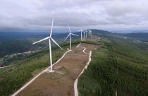 O financiamento do Pacto Ecológico Europeu