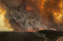Az ausztrál tüzek borzalma számokban