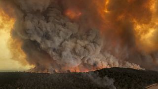 Az ausztrál tüzek borzalma számokban