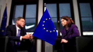 The Brief from Brussels: Das enorme Vorhaben des Green Deals