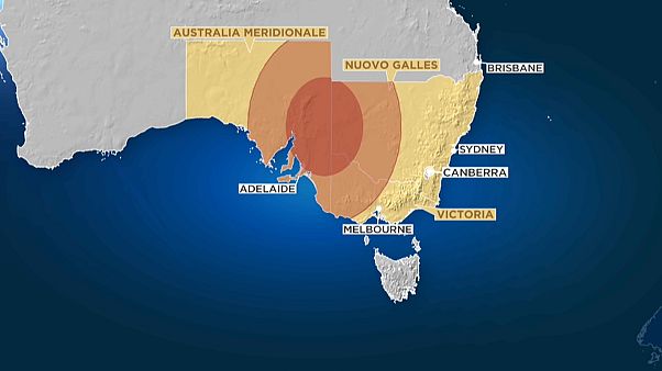 Gli animali sono le prime vittime degli incendi australiani Gli animali sono le prime vittime degli incendi australiani