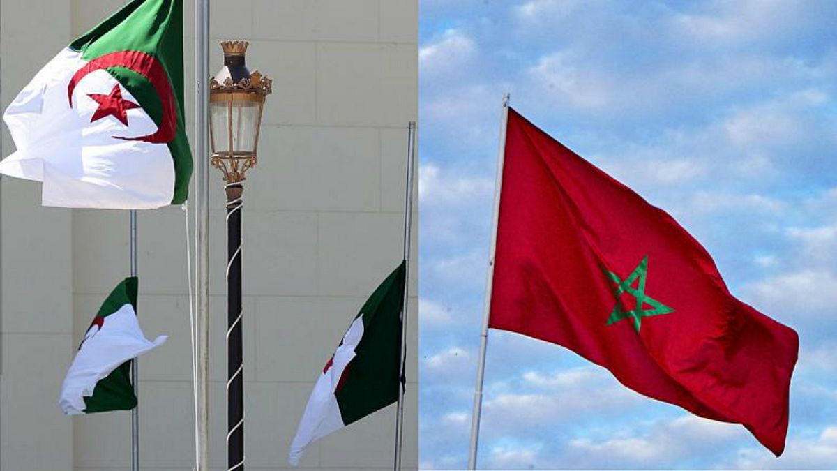 الجزائر تصف قرار غامبيا بفتح قنصلية في الصحراء الغربية بـ"الاستفزازي"