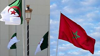الجزائر تصف قرار غامبيا بفتح قنصلية في الصحراء الغربية بـ"الاستفزازي"