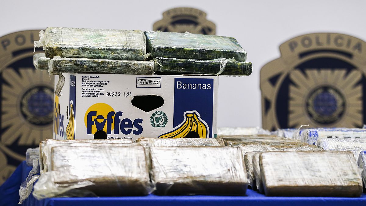 Polícia Judiciária apreende 825 quilos de cocaína