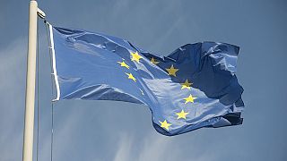 EU FLAG 