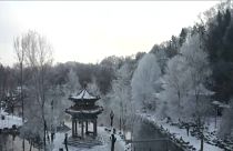 El noreste de China se cubre de un espectacular manto de nieve