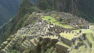 Faültetés Machu Picchu védelmében