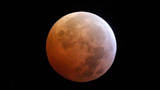 Eclipse de luna llena del 10 de enero: cómo, donde y cuándo ver el  primer eclipse de la década