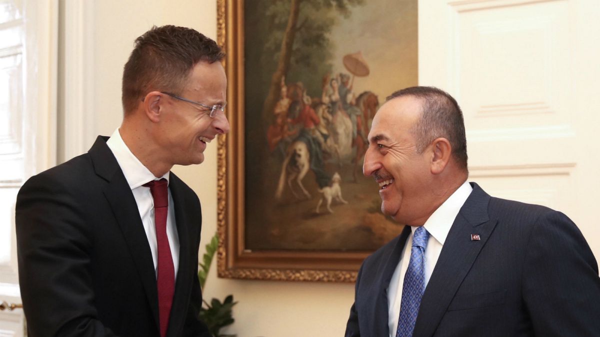 Macaristan Dışişleri ve Dış Ticaret Bakanı Peter Szijjarto ile Türkiye Dışişleri Bakanı Mevlüt Çavuşoğlu (ARŞİV)