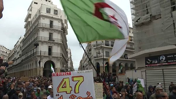 الحراك في أسبوعه ال47 في الجزائر.. مسيرات وتصميمٌ على اجتثاث رموز النظام السابق الحراك في أسبوعه ال47 في الجزائر.. مسيرات وتصميمٌ على اجتثاث رموز النظام السابق