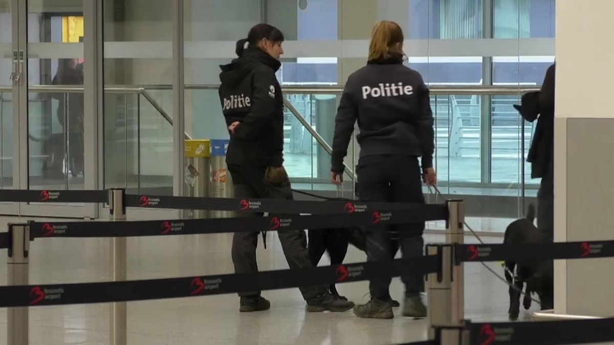 شاهد: بلجيكا تطور رذاذاً لتدريب الكلاب على كشف مادة متفجرة في المطارات